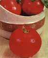 v_tomatohomestead.jpg